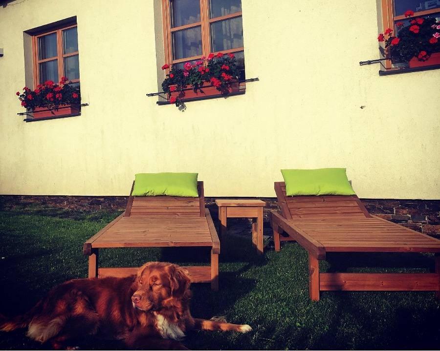 Horsky Apartman Zvonicka Rejvíz Buitenkant foto